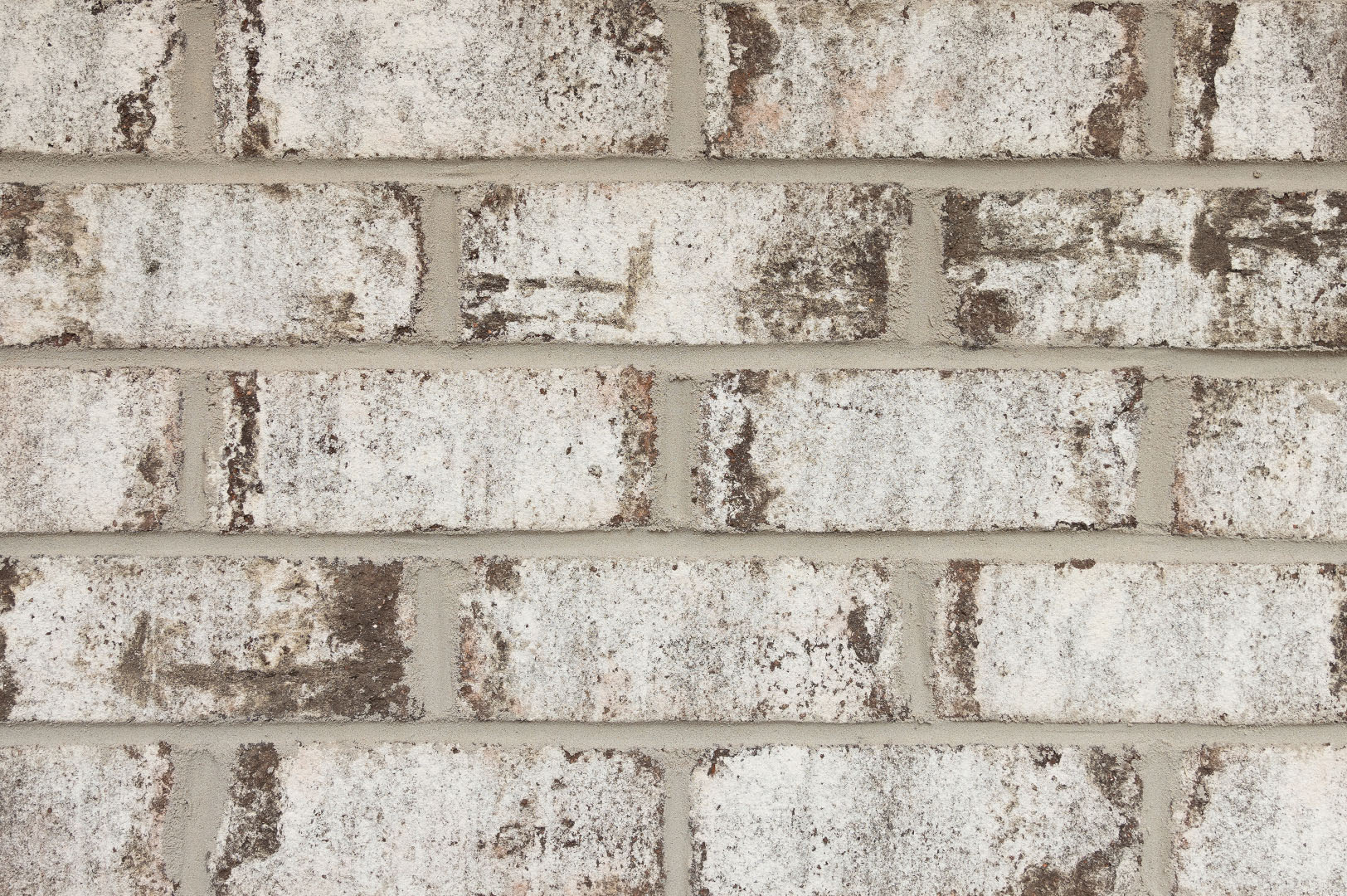 GladeCreek-GreyMortar-Web.jpg